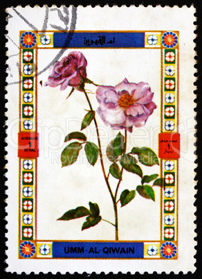 Postage stamp Umm al-Quwain 1972 Rose, Flower