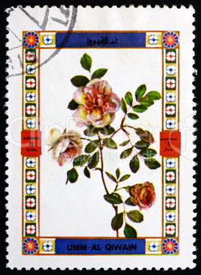 Postage stamp Umm al-Quwain 1972 Rose, Flower