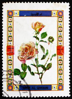 Postage stamp Umm al-Quwain 1972 Rose, Flower