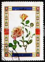 Postage stamp Umm al-Quwain 1972 Rose, Flower