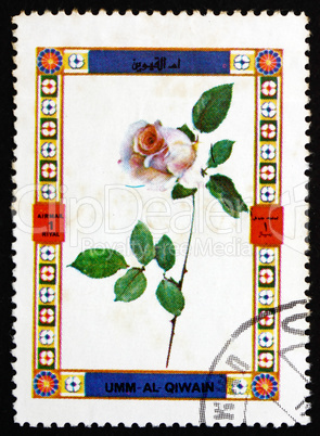 Postage stamp Umm al-Quwain 1972 Rose, Flower