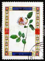 Postage stamp Umm al-Quwain 1972 Rose, Flower