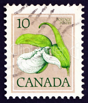 Postage stamp Canada 1977 Franklin?s Lady?s-slipper, Orchid,