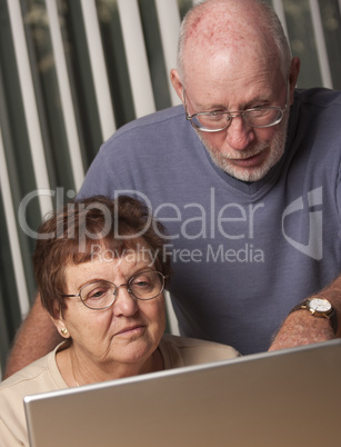 Smiling Senior Adult Couple Having Fun on the Computer