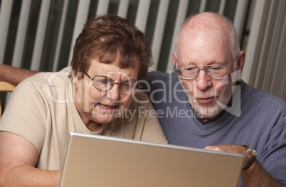 Smiling Senior Adult Couple Having Fun on the Computer