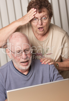 Smiling Senior Adult Couple Having Fun on the Computer