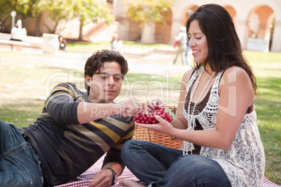 Attractive Hispanic Couple Having a Picnic in the Park