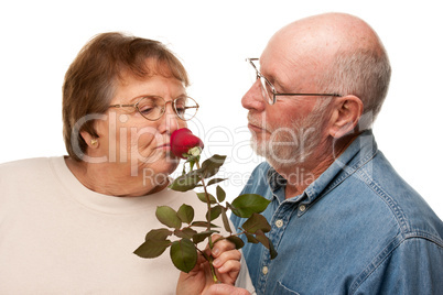 Happy Senior Husband Giving Red Rose to Wife