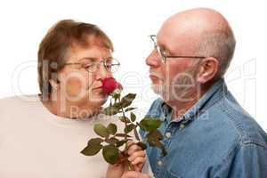 Happy Senior Husband Giving Red Rose to Wife