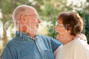 Happy Senior Couple Outdoor Portrait