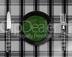 green grass on black plate