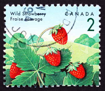 Postage stamp Canada 1992 Wild Strawberry, Fragaria Vesca Plant,