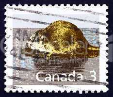 Postage stamp Canada 1988 Muskrat, Animal