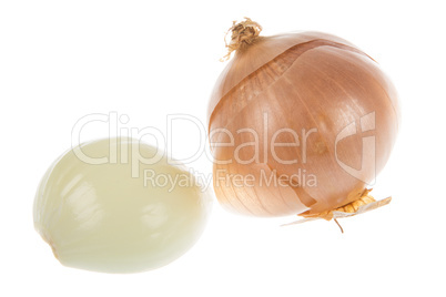 onions on white background