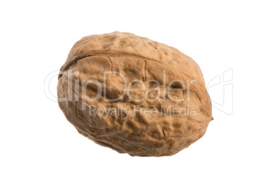 whole walnut on white background