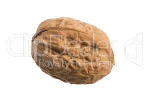 whole walnut on white background