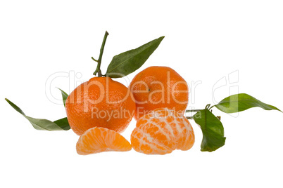citrus clementines