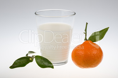 milk an citrus clementine