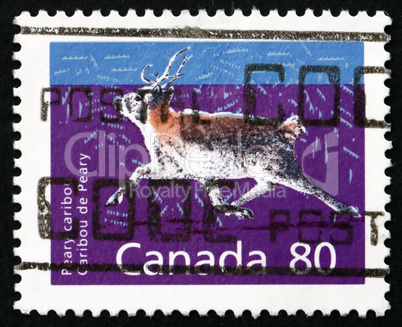 Postage stamp Canada 1990 Peary Caribou, Animal