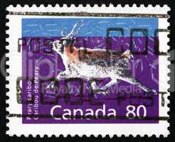 Postage stamp Canada 1990 Peary Caribou, Animal