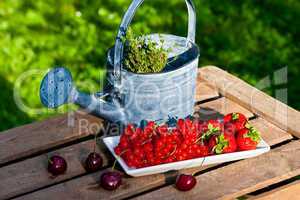 Früchte mit Giesskanne, Fruits with watering can