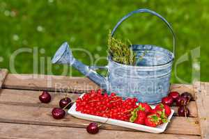 Früchte mit Giesskanne, Fruits with watering can