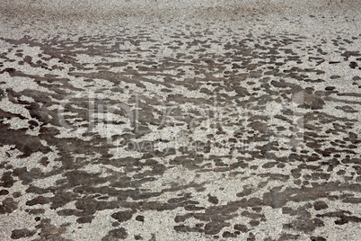 Tar stains on gray asphalt