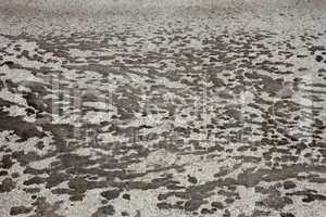 Tar stains on gray asphalt