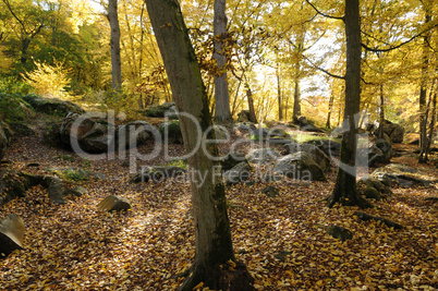 France, Les Vaux de Cernay in Chevreuse valley