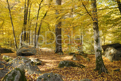 France, Les Vaux de Cernay in Chevreuse valley