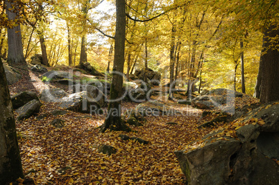 France, Les Vaux de Cernay in Chevreuse valley