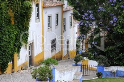 the small village of Obidos in Portugal