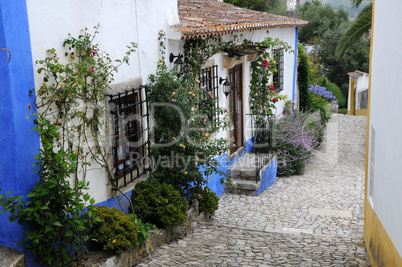 the small village of Obidos in Portugal