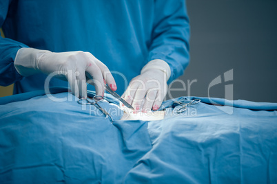 Surgeon incising the stomach of a patient