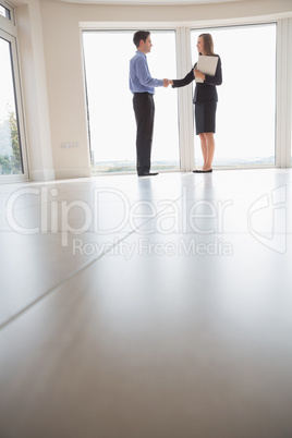 Estate agent and man shaking hands