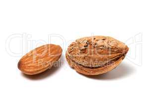 Two almonds on white background