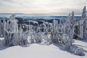 Winter im Bayerischen Wald