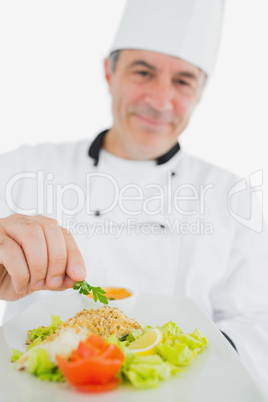 Chef presenting fresh prepared meal