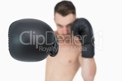 Portrait of young male boxer punching