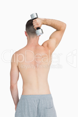 Rear view of young man exercising with dumbbell