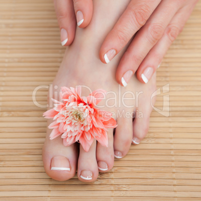 French nail treatment at spa center