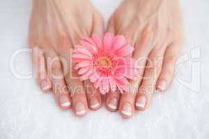 Flower on french manicured fingers at spa center
