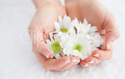 French manicured hands holding flowers