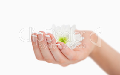 French manicured hand holding flowers