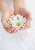 French manicured hands holding flowers