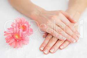 Flowers with french manicured fingers
