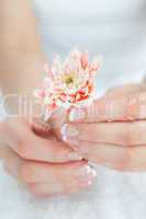 French manicured hands holding flower
