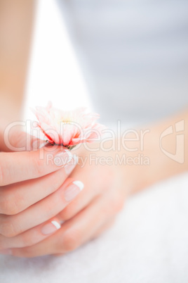 French manicured hands holding flower