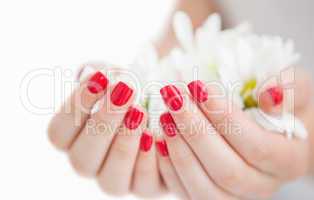 Manicured hands holding flowers