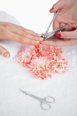 Close-up of woman cutting fingernail